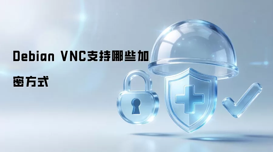 Debian VNC所支持的加密方式有哪些