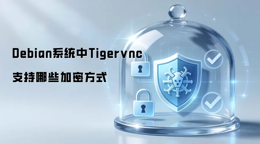 Debian系统里Tigervnc支持哪些加密方式