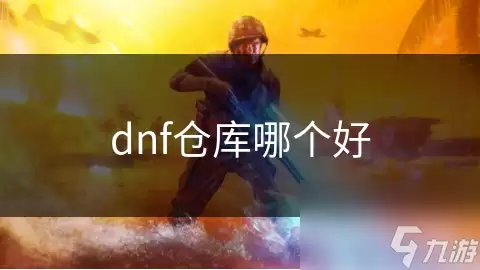dnf仓库哪个好