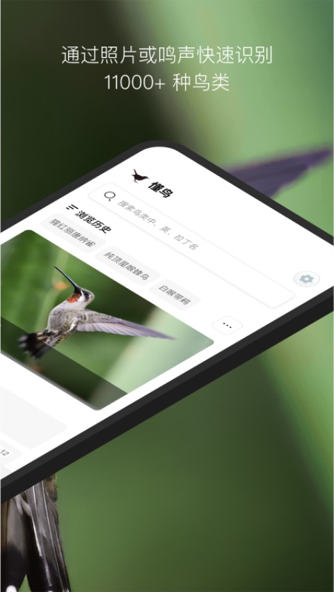 懂鸟App