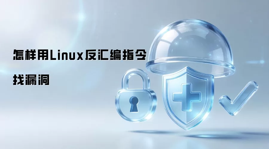 如何用Linux反汇编指令找漏洞
