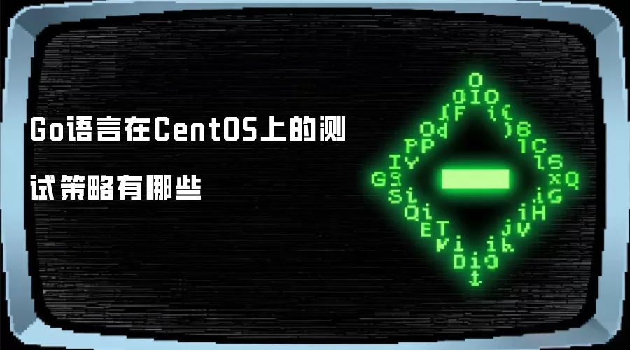 Go语言在CentOS上的测试策略有哪几种
