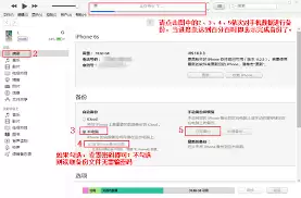 如何将iTunes备份导入新手机