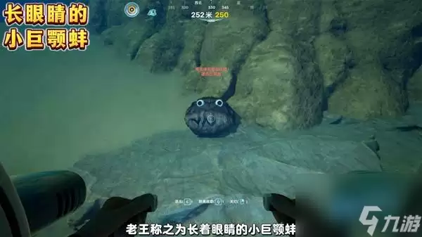 深海迷航2小巨颚蚌彩蛋在哪儿