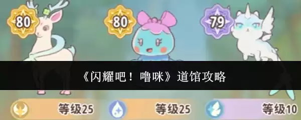 闪耀吧！噜咪道馆攻略