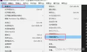 Adobe Premiere pro 2020如何替换字体