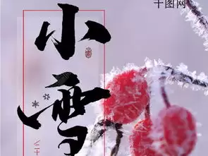 Vidu制作节气海报动态视频效果怎么样