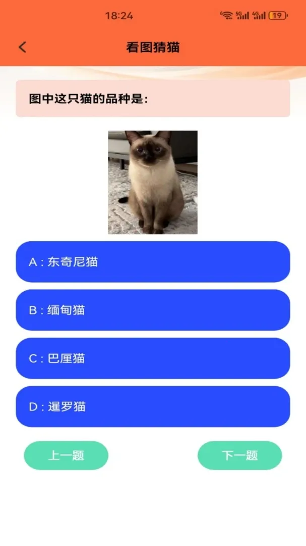 暖暖猫(猫咪养护应用)