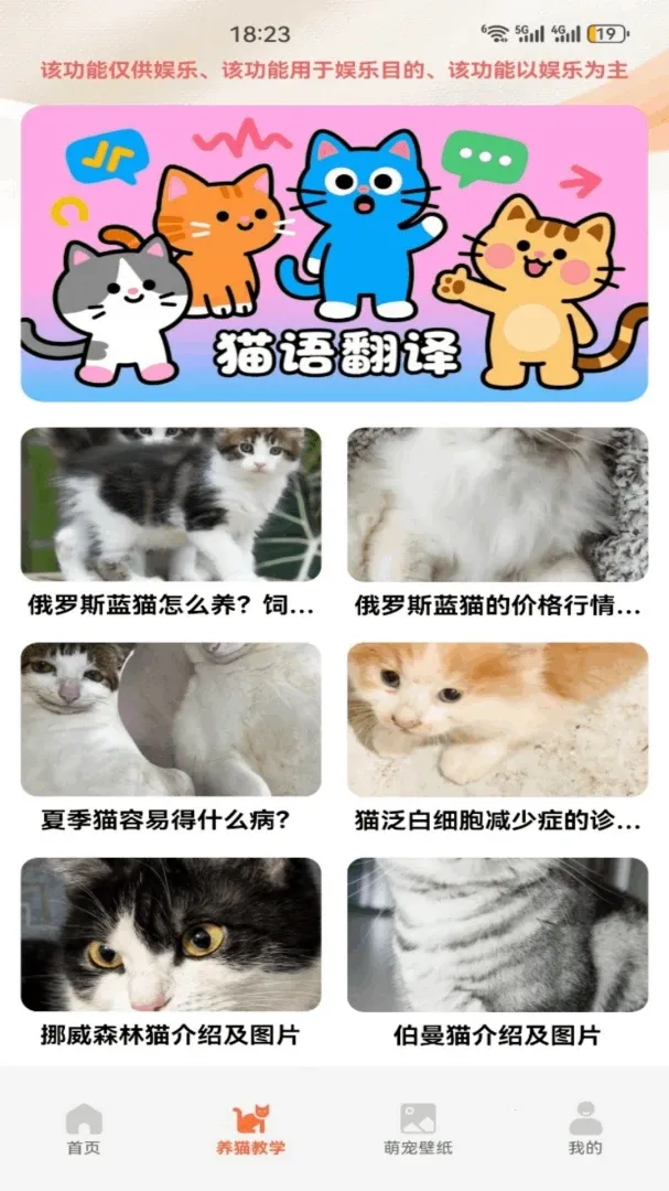暖暖猫(猫咪养护应用)