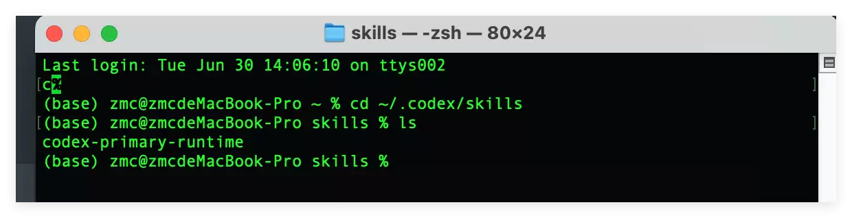 Codex Skill是什么: Codex Skill安装与使用的新手教程