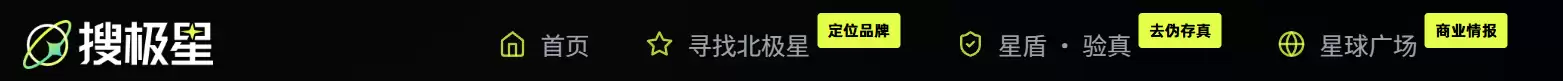 同样是 GEO 监测: 为什么大厂都在用搜极星: 再配 InsGEO？