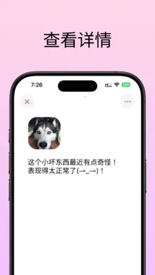 53Hz同频匹配交友2026