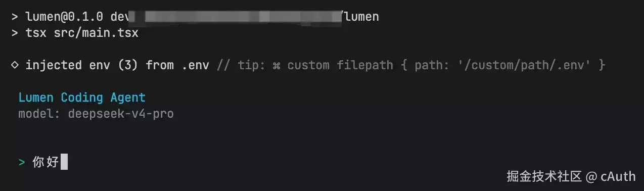 实现你自己的 Agent cli