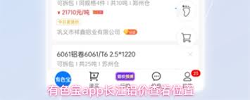 有色宝app如何查看长江铝价