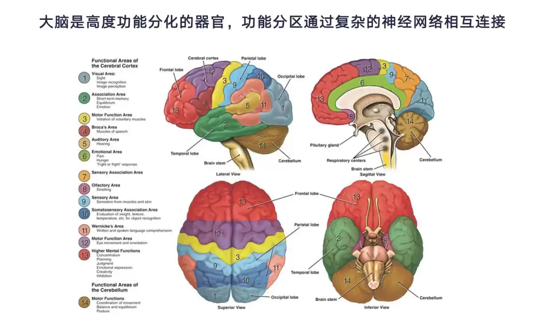 脑机接口和 AI: 一个硬币的两面