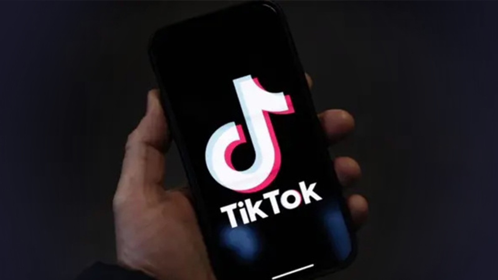 TikTok免安装版入口-TikTok在线免费看视频版入口