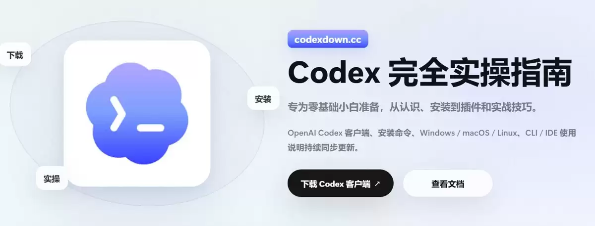 Codex订阅怎么选？Free Plus Pro区别是什么？2026最新购买指南