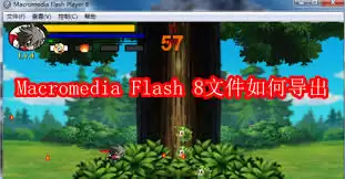 Macromedia Flash 8文件如何导出