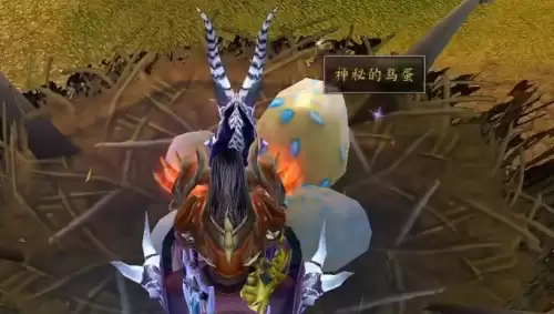 魔兽世界给我鸟蛋任务攻略流程
