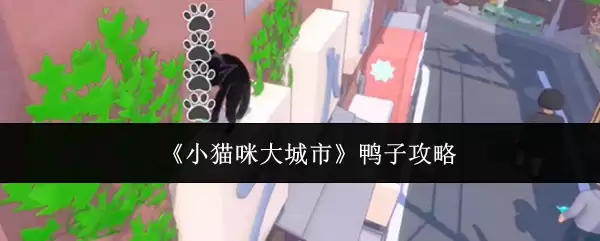 小猫咪大城市鸭子攻略