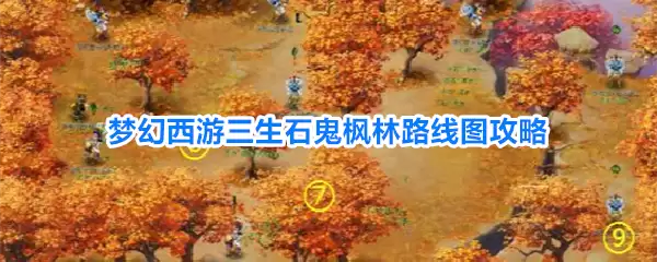 梦幻西游三生石鬼枫林路线图全攻略