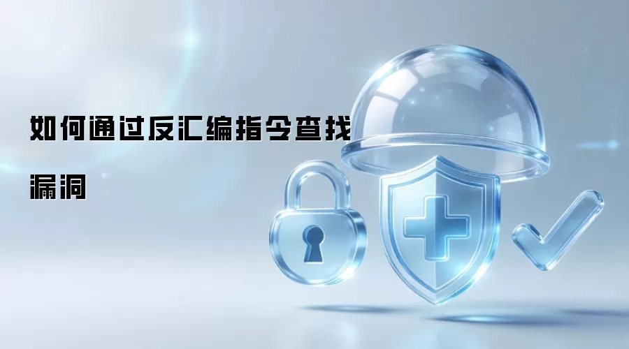 如何通过反汇编指令发现漏洞