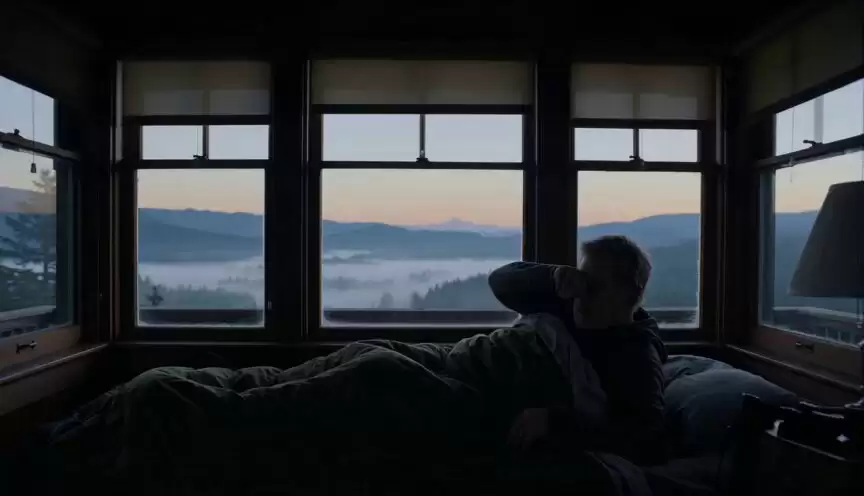 漫步森林的神秘传说