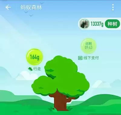 支付宝AI版怎样查看蚂蚁森林能量收集-支付宝AI版如何查看蚂蚁森林能量收集