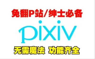 pixiv网站最新入口是哪个-pixiv官网网页版地址在哪