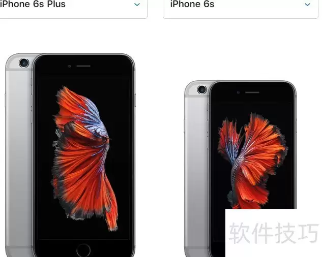 6s和6Sp核心差异解析
