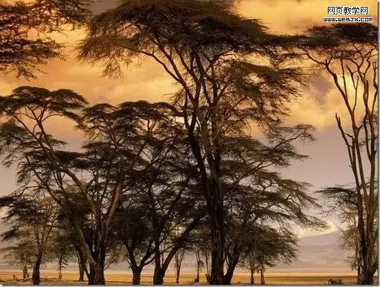Photoshop反相命令如何使用