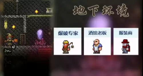 泰拉瑞亚npc居住环境推荐搭配方案