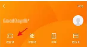 苏宁易购消费金查看方法