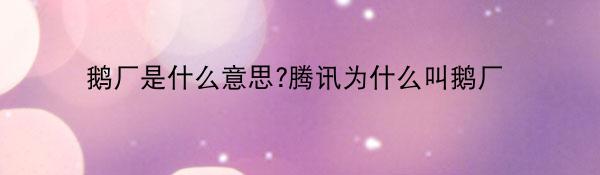 鹅厂是什么意思-腾讯为何叫鹅厂