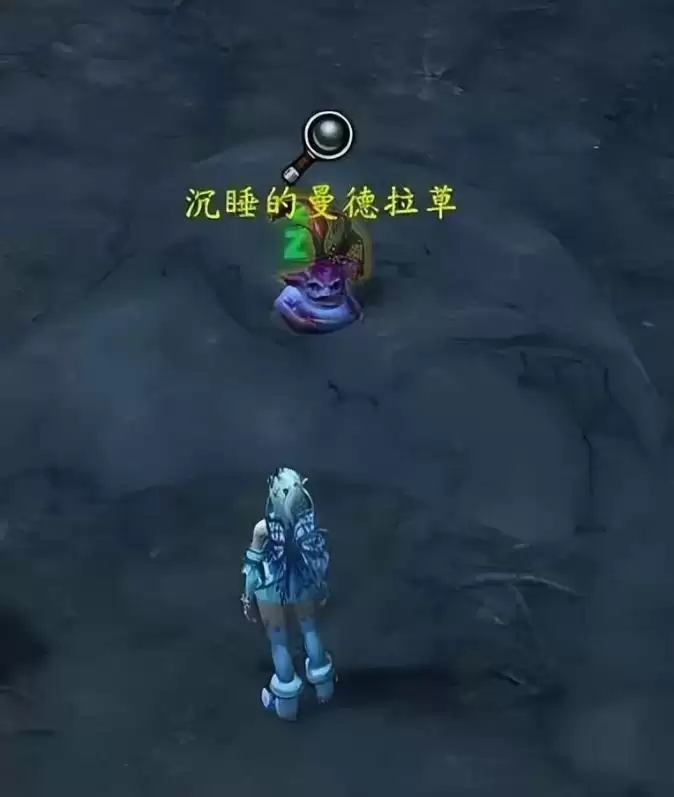 魔兽世界沉睡的曼德拉草宠物获取方法
