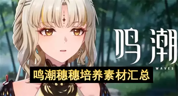 鸣潮穗穗培养素材总汇