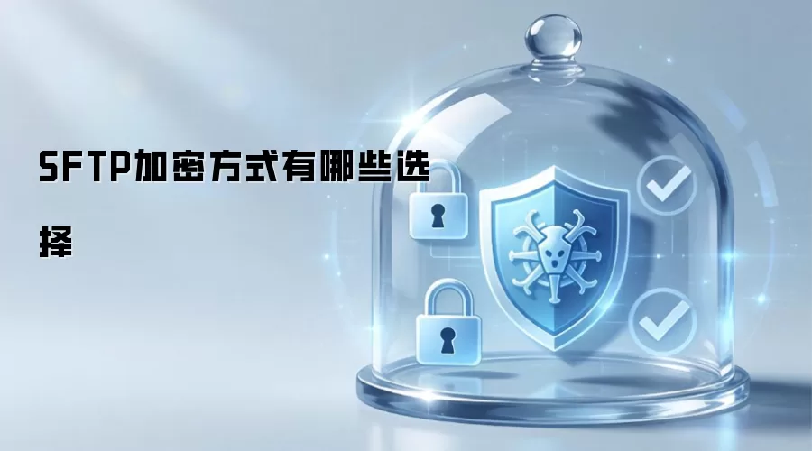 SFTP加密方式有哪些选择
