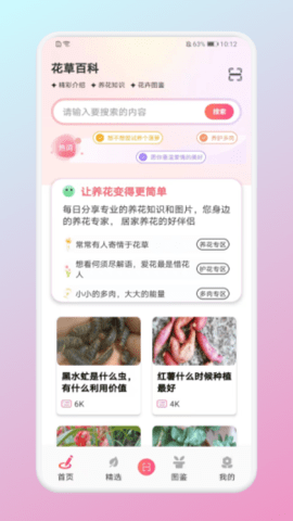 养花小