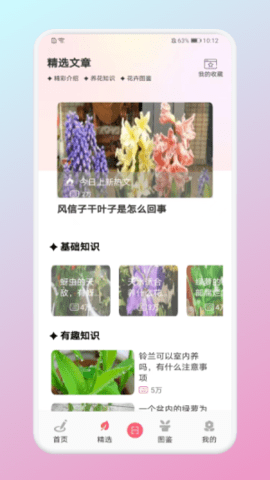 养花小