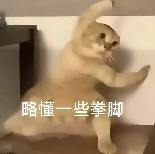 阶跃入局：重构智能体时代操作系统