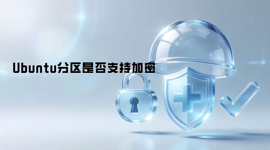 Ubuntu分区能否加密