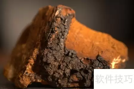 怎样辨别正宗桦褐孔菌