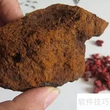 桦褐孔菌功效和食用方法