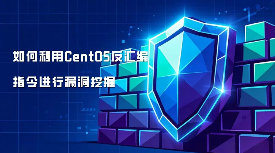 如何利用CentOS反汇编指令挖掘漏洞