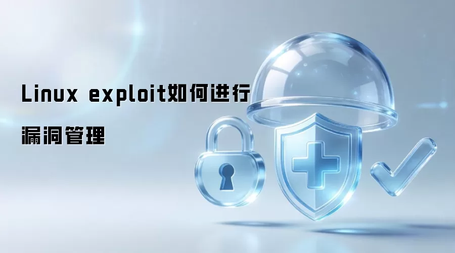 Linux exploit 漏洞管理如何开展