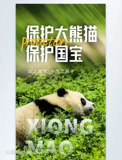 熊猫办公登录官网入口在哪