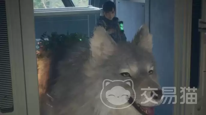 轮回之兽好玩吗轮回之兽核心玩法和新手入门指南