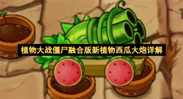 植物大战僵尸融合版新植物西瓜大炮详解