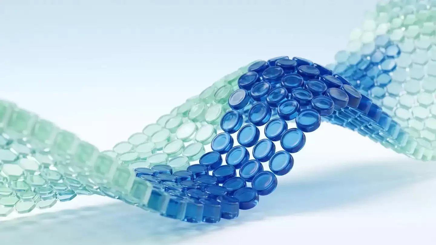 Google DeepMind 与 Isomorphic Labs 的生物弹性方法