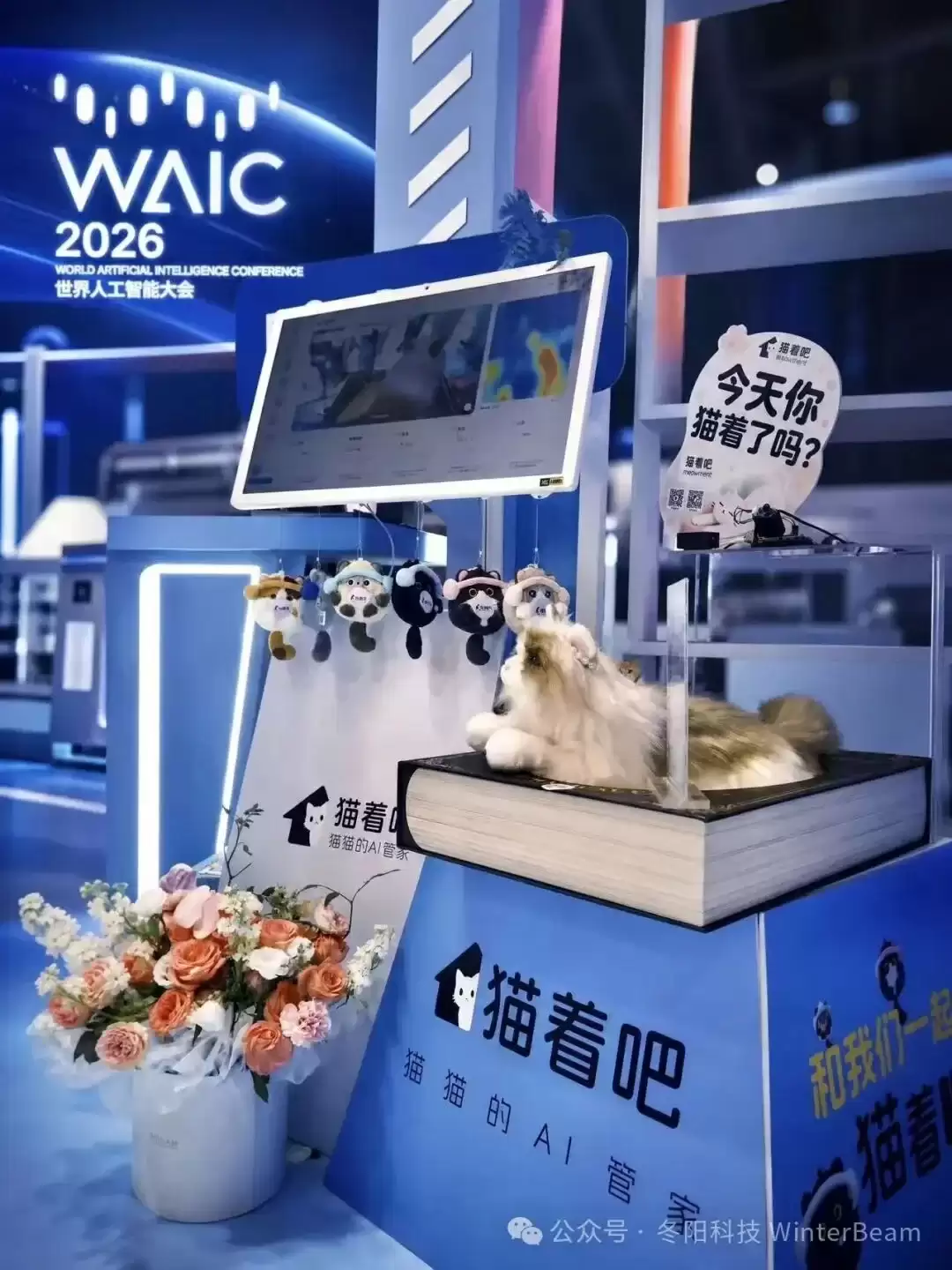 用AI读懂每只猫丨冬阳科技完成种子轮融资 AI 猫窝首秀 WAIC
